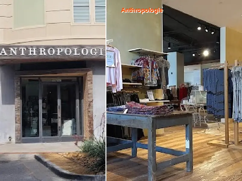 Anthropologie