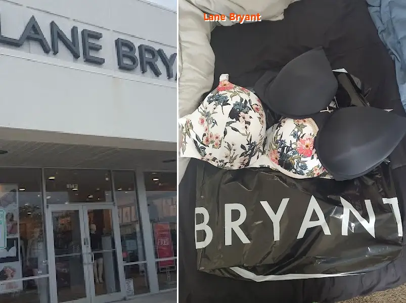 Lane Bryant