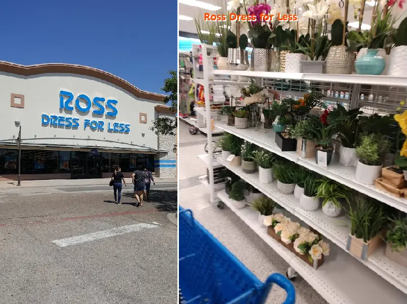 Ross Dress for Less