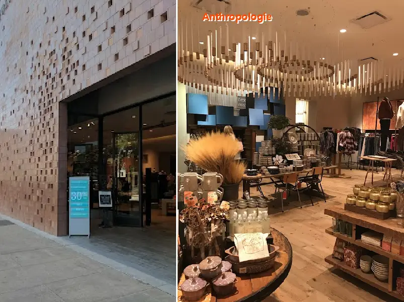 Anthropologie