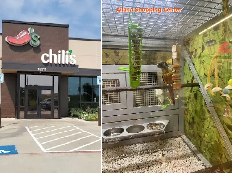 Aliana Shopping Center