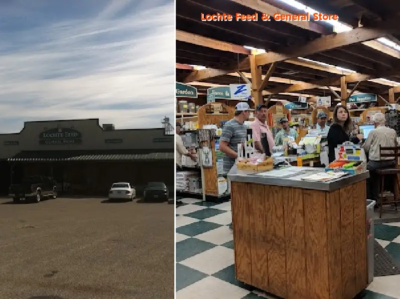 Lochte Feed & General Store