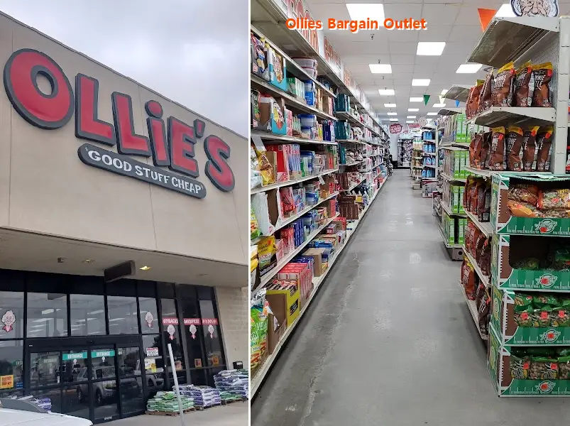 Ollies Bargain Outlet