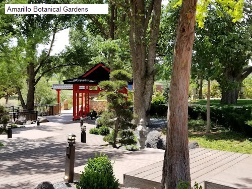 Amarillo Botanical Gardens