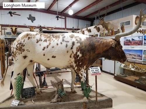 Longhorn Museum