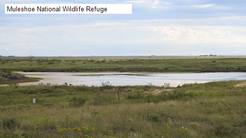 Muleshoe National Wildlife Refuge