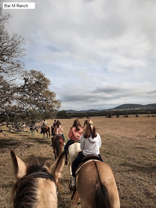 Bar M Ranch