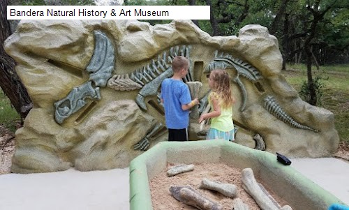 Bandera Natural History & Art Museum