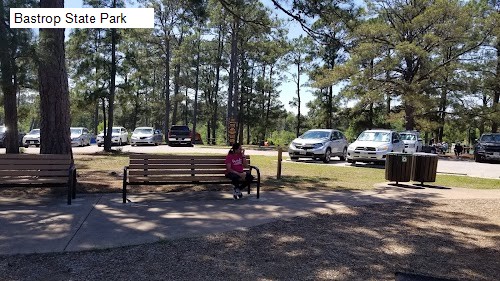 Bastrop State Park