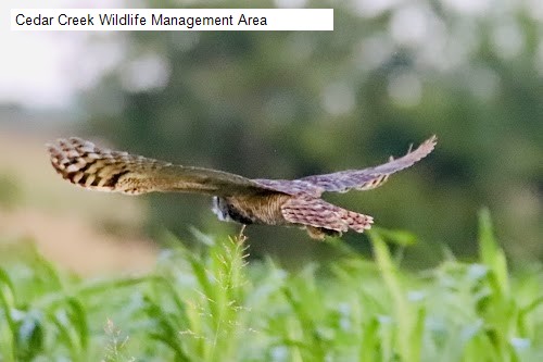 Cedar Creek Wildlife Management Area