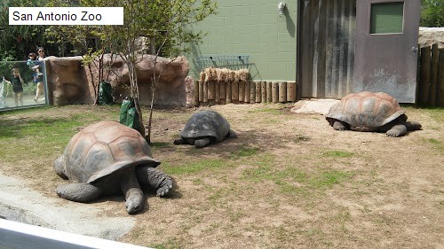 San Antonio Zoo