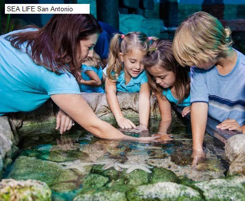 SEA LIFE San Antonio
