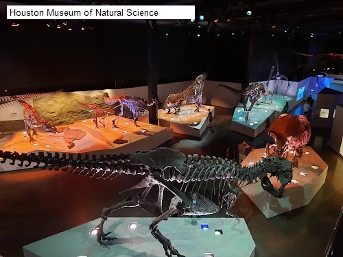 Houston Museum of Natural Science