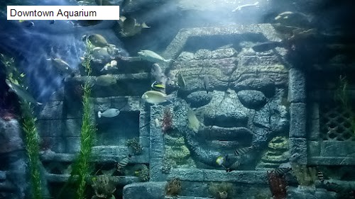 Downtown Aquarium