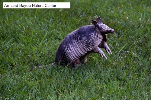 Armand Bayou Nature Center