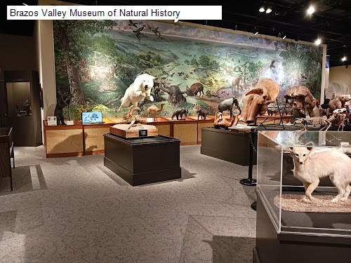 Brazos Valley Museum of Natural History