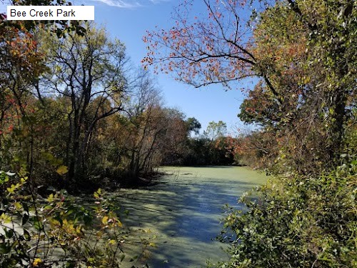 Bee Creek Park