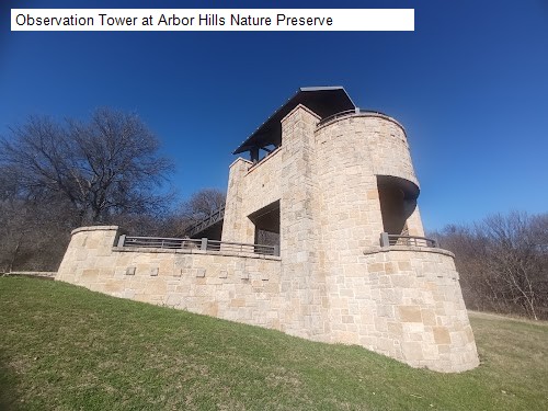 Observation Tower at Arbor Hills Nature Preserve
