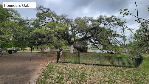 Founders Oak