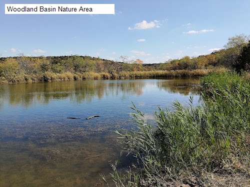 Woodland Basin Nature Area