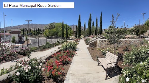 El Paso Municipal Rose Garden