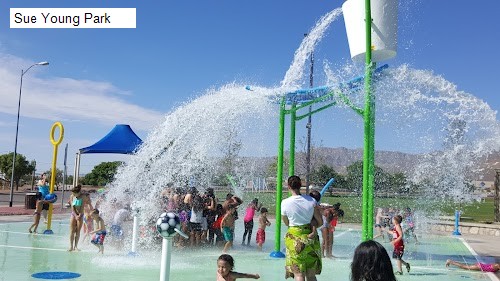 Sue Young Park