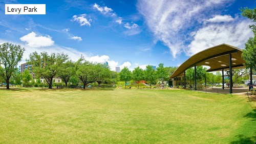 Levy Park