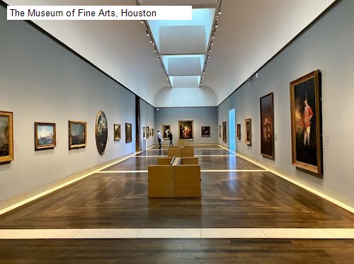 The Museum of Fine Arts, Houston