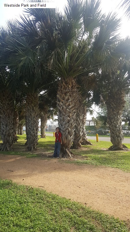Westside Park and Field
