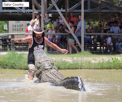 Gator Country