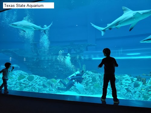 Texas State Aquarium