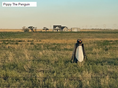 Pippy The Penguin