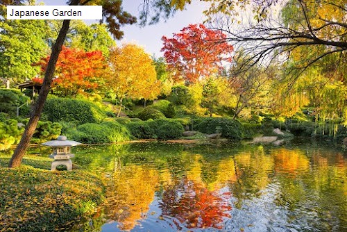 Japanese Garden