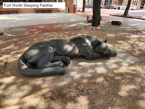 Fort Worth Sleeping Panther