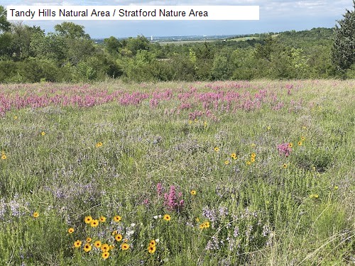 Tandy Hills Natural Area / Stratford Nature Area